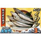 丸ごといわし 約3kg