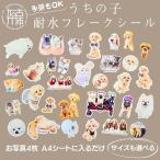 うちの子耐水フレークシール