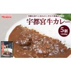 宇都宮牛カレー 200g×5個セット