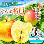 ぐんま名月 約3kg