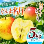 ぐんま名月 約5kg