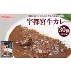 宇都宮牛カレー 200g×30個セット