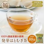 電車茶箱 鉄茶んS 北陸新幹線W7系 はと麦茶