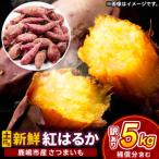 訳あり さつまいも 紅はるか 約5kg