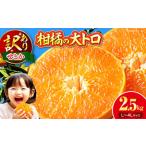 せとか 訳あり 2.5kg