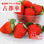 いちご 古都華 250g×4パック