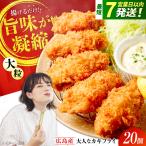 カキフライ20個 牡蠣