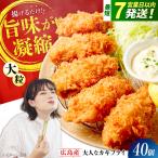 牡蠣 冷凍カキフライ40個牡蠣