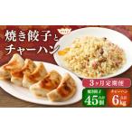 東京食堂のチャーハンと焼き餃子 各5パック×3回