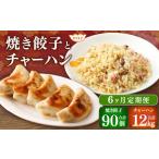 東京食堂のチャーハンと焼き餃子 各5パック×6回