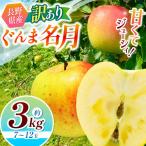 訳あり ぐんま名月 約3kg