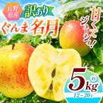 訳あり ぐんま名月 約5kg