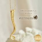 アクセサリー ネックレス 本物のタコを型取りしたネックレス