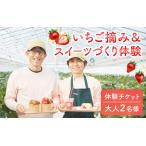 体験チケット 南 いちご摘み&スイーツづくり体験券