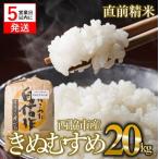 令和7年産 白米20kg