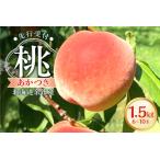 ふるさと納税 【2026年産 先行予約】＜北海道余市産＞桃「あかつき」1.5kg（6〜10玉）_Y103-0058 北海道余市町