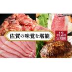 贅沢☆佐賀の味覚を堪能 ブランド肉 定期便