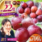 訳あり クイーンニーナ ぶどう 切り落とし 約700g