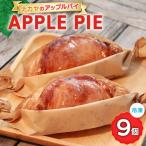 メディアで話題 アップルパイ ナカヤのアップルパイ 9個