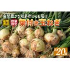 ショッピングふるさと納税 玉ねぎ ふるさと納税 ★先行予約★ 葉付き玉ねぎ タマネギ たまねぎ 20個 新玉ねぎ 旬 早生 野菜 愛知 愛知県 知多 知多市 愛知県知多市
