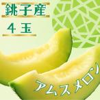 アムスメロン 4玉
