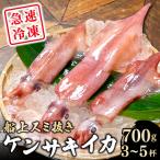 船上スミ抜きケンサキイカ 700g以上