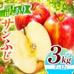 訳あり サンふじ 約3kg