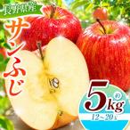 サンふじ 約5kg
