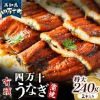 四万十うなぎ 蒲焼 特大 240g×2本