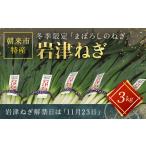 特産 岩津ねぎ 3kg