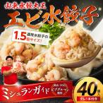 餃子 エビ水餃子 40個