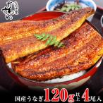 うなぎ蒲焼き120g4本セット B995-1