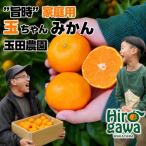 有田 みかん 大玉 10kg