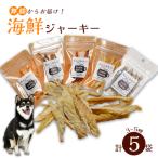 無添加 ペット用 手作り スープ ミネストローネ 5袋