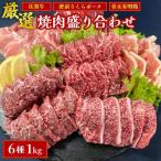 佐賀ざんまい 厳選6種焼肉盛り合わせ1000g