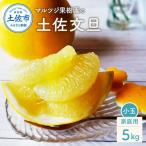 文旦 5kg