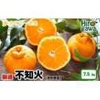 不知火 しらぬい 7.5kg+250g 痛み補償分