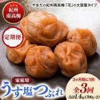 紀州南高梅しそ漬つぶれ 塩分約15% 700g×2