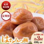 紀州南高梅はちみつ極塩分約6% 850g