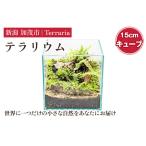 fu.... налог террариум 15cm Cube мох lium мох террариум Niigata префектура .. город 