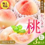 桃 和歌山の桃 3玉