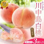 桃 和歌山の川中島白桃 嬉しい食べきり3玉