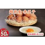 fu.... налог Echizen производство красный шар .50 шт (45 шт + трещина возмещение 5 штук входит ) [ рефрижератор * яйцо ] Fukui префектура Echizen город 