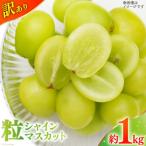 シャインマスカット 訳あり 粒 約 1kg