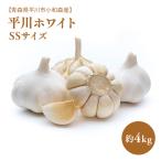 にんにく Sサイズ約4kg