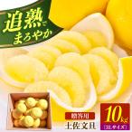 土佐文旦の創始 宮地文旦園の土佐文旦 用3L