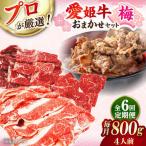 愛姫牛 店主におまかせ旬セット 800g