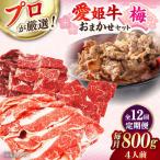 愛姫牛 店主におまかせ旬セット 800g