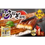 ふるさと納税 2869 【先行予約】鹿児島県大隅産うなぎ蒲焼4尾(600g) KN007-004-01 国産 本格 鰻 ウナギ 蒲焼 冷凍 湯 大隅地区養まん漁業協.. 鹿児島県鹿屋市