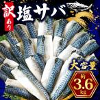 訳あり 塩鯖 3.6kg